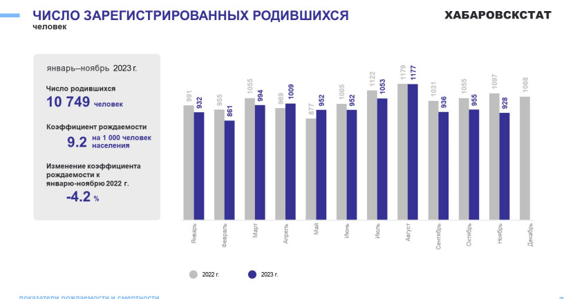 Демографические показатели Хабаровского края за январь-ноябрь 2023